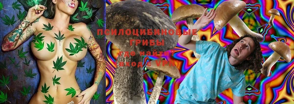 спиды Алексин