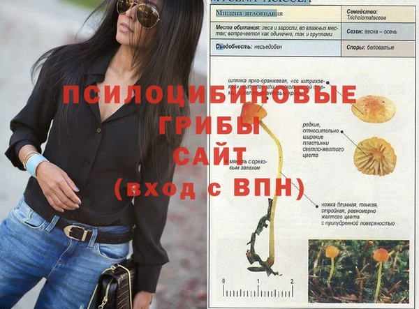 спиды Алексин
