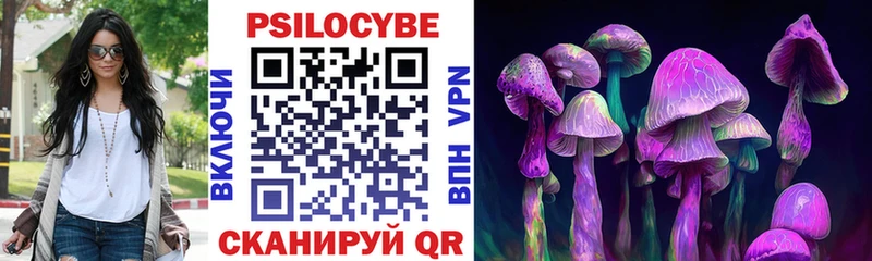 Псилоцибиновые грибы Psilocybe  купить закладку  Духовщина 